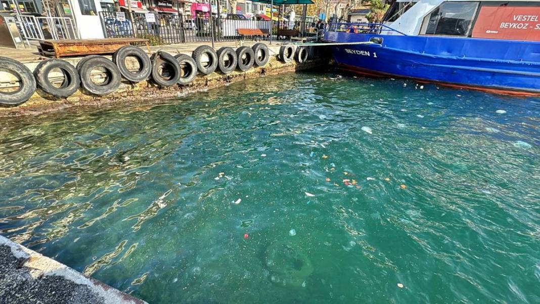 İstanbul'un o ilçesinde mide bulandıran görüntü! Bunu yapan insan olamaz... 2